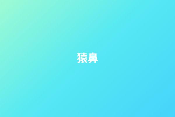 猿鼻