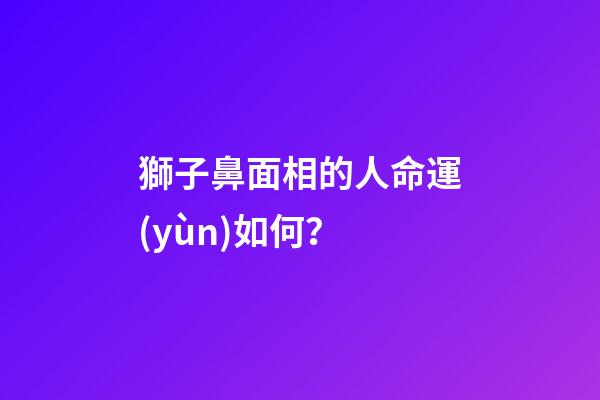 獅子鼻面相的人命運(yùn)如何？