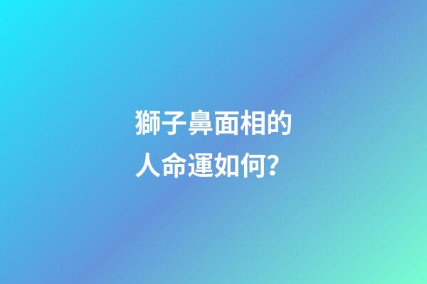 獅子鼻面相的人命運如何？