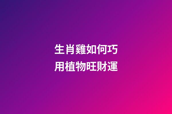 生肖雞如何巧用植物旺財運