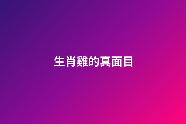 生肖雞的真面目