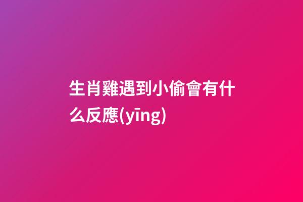 生肖雞遇到小偷會有什么反應(yīng)