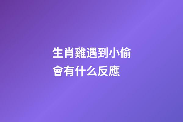 生肖雞遇到小偷會有什么反應