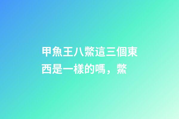 甲魚王八鱉這三個東西是一樣的嗎，鱉(拍案驚奇)-第1張-觀點-玄機派