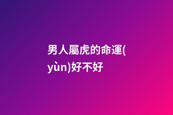 男人屬虎的命運(yùn)好不好