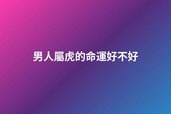 男人屬虎的命運好不好