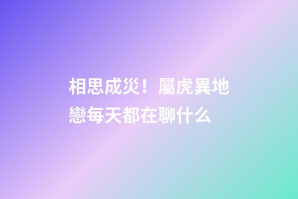 相思成災！屬虎異地戀每天都在聊什么