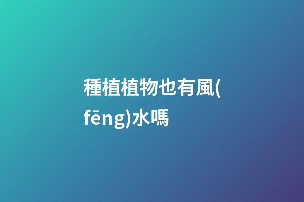 種植植物也有風(fēng)水嗎