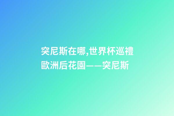 突尼斯在哪,世界杯巡禮歐洲后花園——突尼斯-第1張-觀點-玄機派