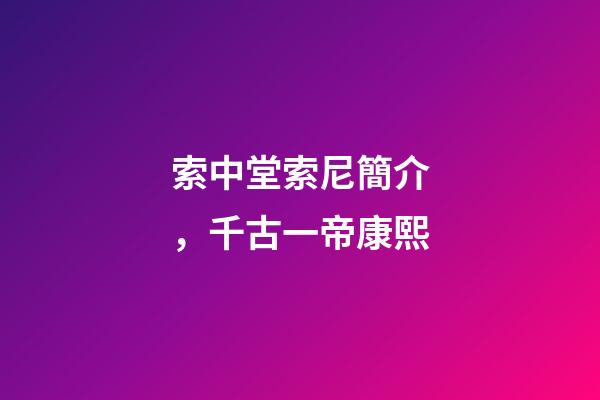 索中堂索尼簡介，千古一帝康熙-第1張-觀點-玄機派