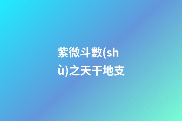 紫微斗數(shù)之天干地支
