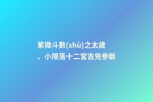 紫微斗數(shù)之太歲、小限落十二宮吉兇參斷