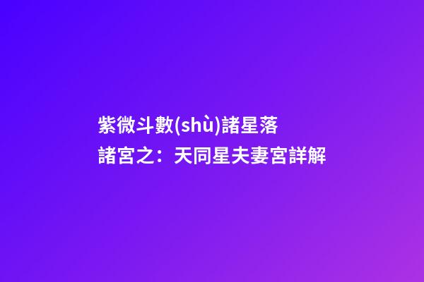 紫微斗數(shù)諸星落諸宮之：天同星夫妻宮詳解