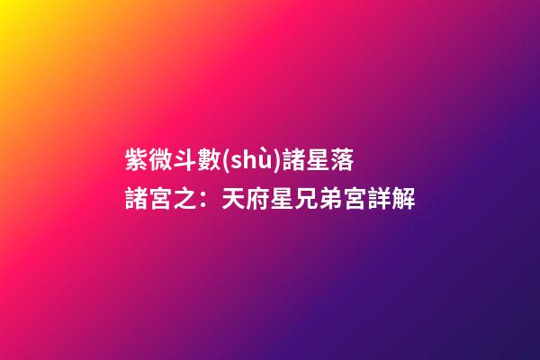 紫微斗數(shù)諸星落諸宮之：天府星兄弟宮詳解