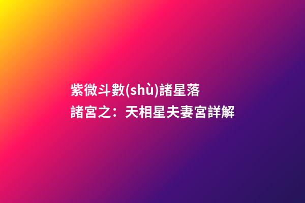 紫微斗數(shù)諸星落諸宮之：天相星夫妻宮詳解