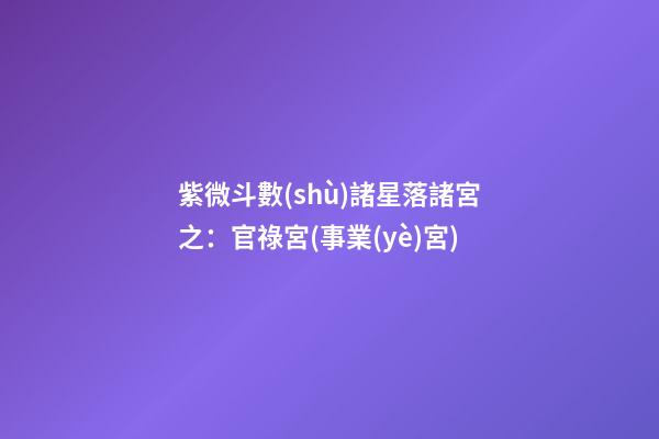 紫微斗數(shù)諸星落諸宮之：官祿宮(事業(yè)宮)