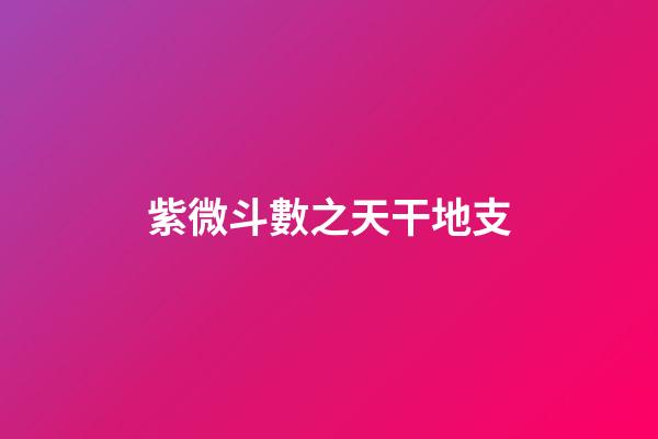 紫微斗數之天干地支
