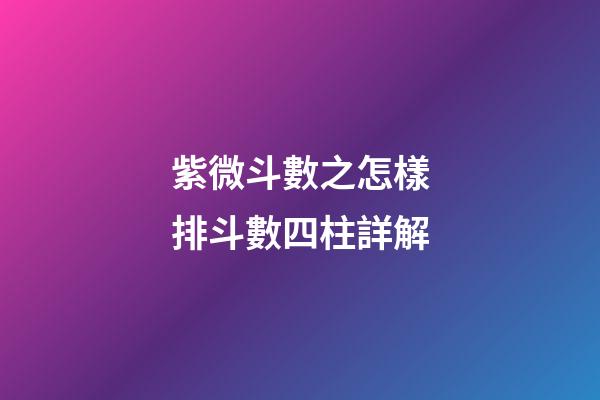 紫微斗數之怎樣排斗數四柱詳解
