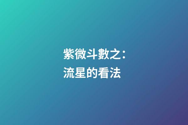 紫微斗數之：流星的看法