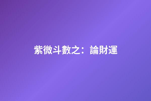 紫微斗數之：論財運