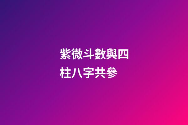 紫微斗數與四柱八字共參