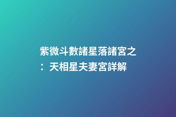 紫微斗數諸星落諸宮之：天相星夫妻宮詳解
