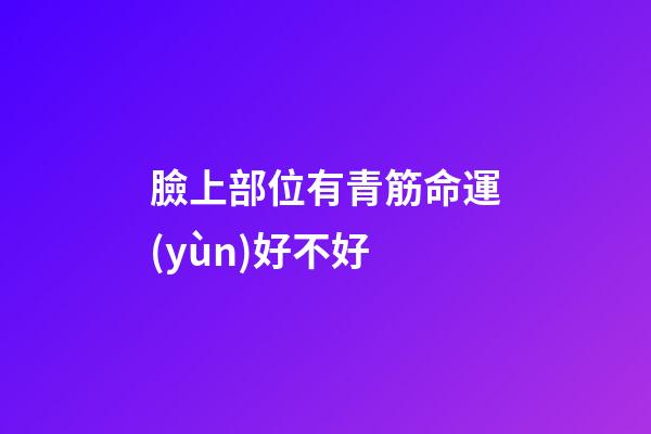 臉上部位有青筋命運(yùn)好不好