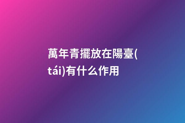 萬年青擺放在陽臺(tái)有什么作用