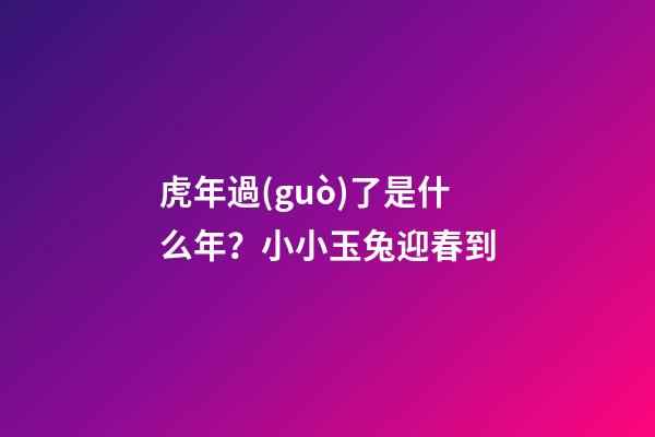 虎年過(guò)了是什么年？小小玉兔迎春到