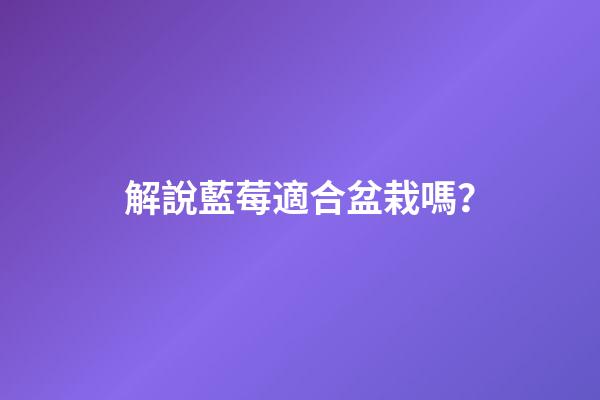 解說藍莓適合盆栽嗎？