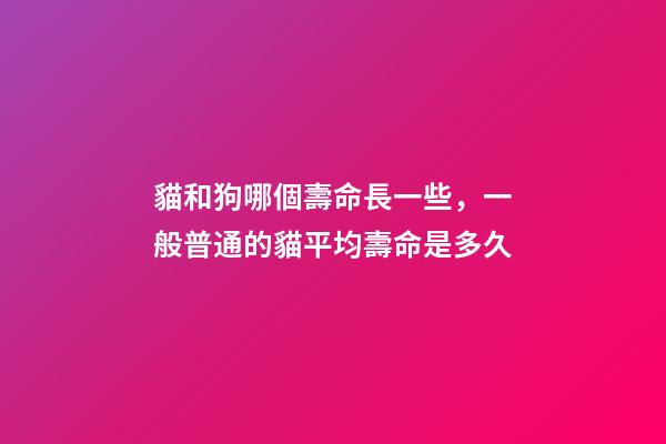 貓和狗哪個壽命長一些，一般普通的貓平均壽命是多久-第1張-觀點-玄機派