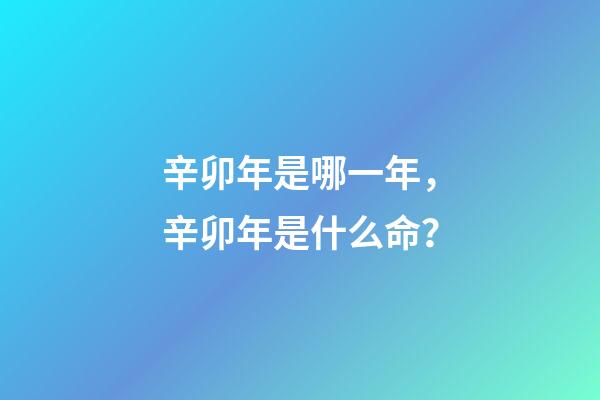 辛卯年是哪一年，辛卯年是什么命？