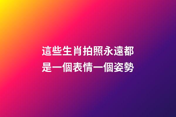這些生肖拍照永遠都是一個表情一個姿勢