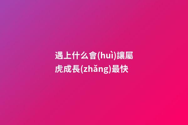 遇上什么會(huì)讓屬虎成長(zhǎng)最快