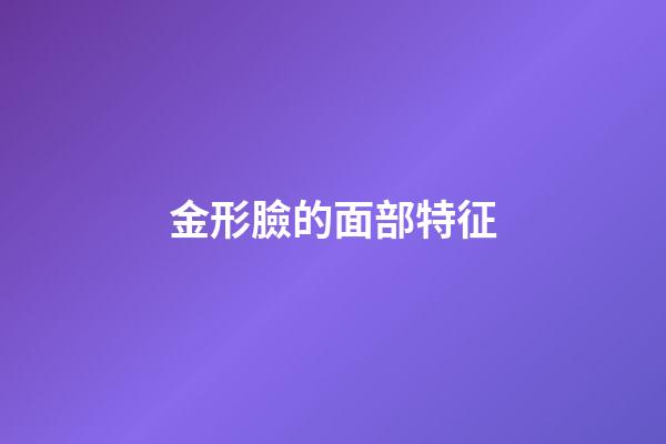 金形臉的面部特征