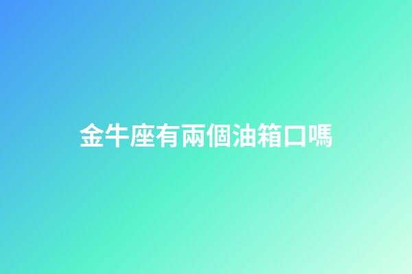 金牛座有兩個油箱口嗎