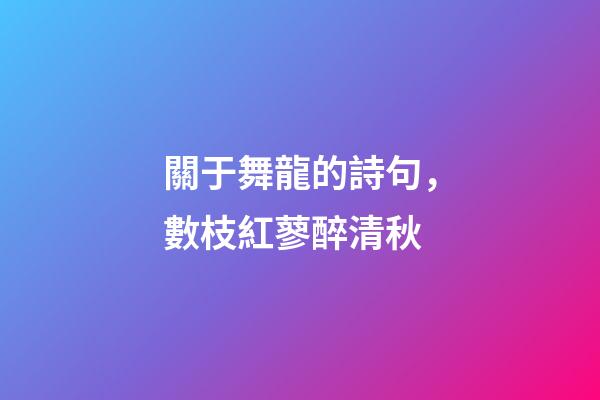 關于舞龍的詩句，數枝紅蓼醉清秋-第1張-觀點-玄機派