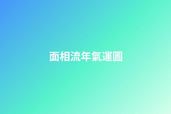 面相流年氣運圖