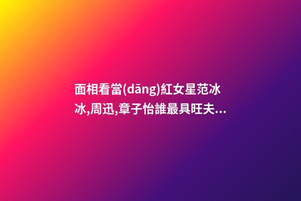 面相看當(dāng)紅女星范冰冰,周迅,章子怡誰最具旺夫運