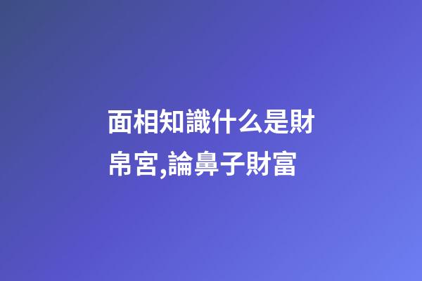 面相知識什么是財帛宮,論鼻子財富