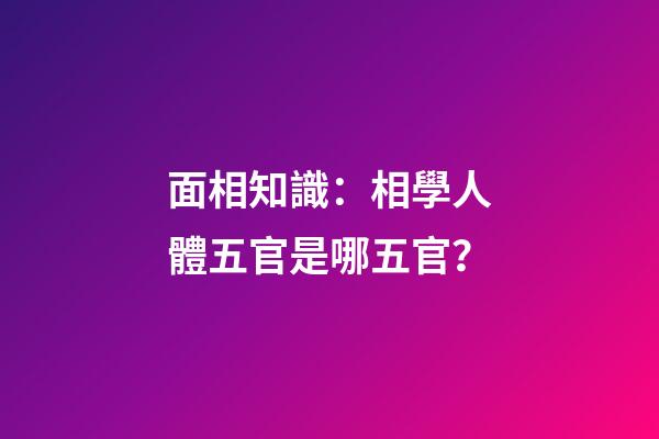面相知識：相學人體五官是哪五官？