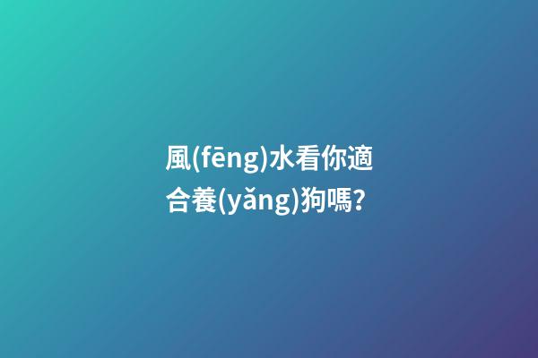 風(fēng)水看你適合養(yǎng)狗嗎？