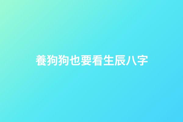 養狗狗也要看生辰八字