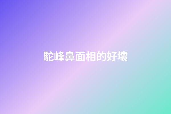 駝峰鼻面相的好壞