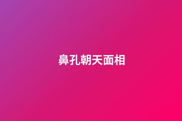 鼻孔朝天面相
